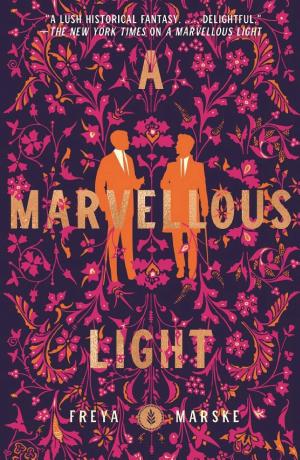 A Marvellous Light