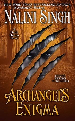 Archangel's Enigma