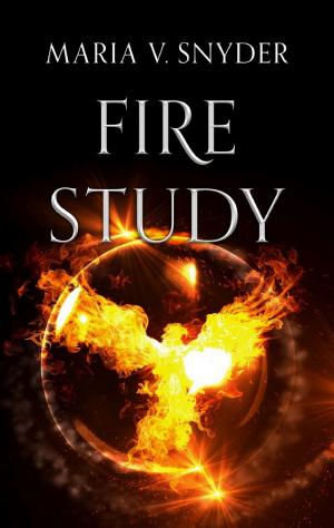 Fire Study