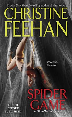 Spider Game
